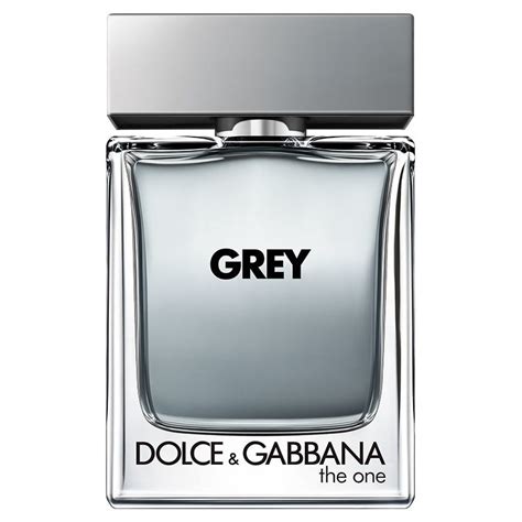 The One Grey Dolce&Gabbana for men 